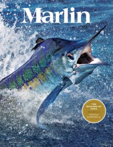 Marlin – April 2020