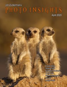 Photo Insights – April 2020