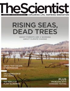 The Scientist – March 2020