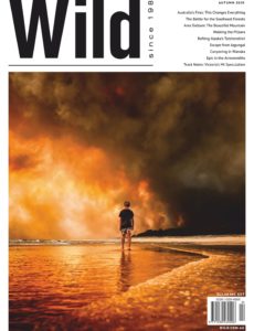 Wild – Autumn 2020