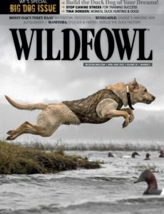 Wildfowl – April-May 2020