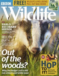 BBC Wildlife – May 2020