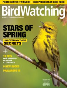 BirdWatching USA – May-June 2020