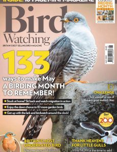 Bird Watching UK – May 2020