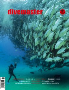 DiveMaster – April-Juni 2020