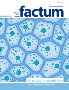 Factum Magazin – Mai-Juni 2020