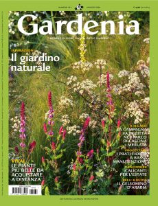 Gardenia N 433 – Maggio 2020