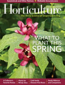 Horticulture – May-June 2020