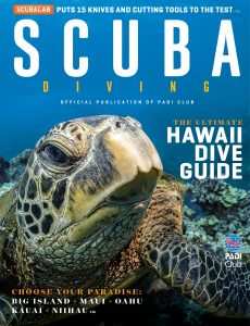 Scuba Diving – April 2020