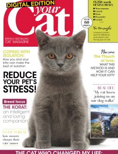 Your Cat – May 2020