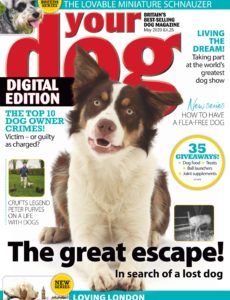 Your Dog – May 2020