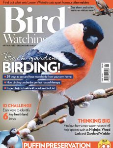 Bird Watching UK – June 2020