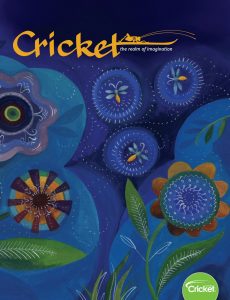 Cricket – May-June 2020