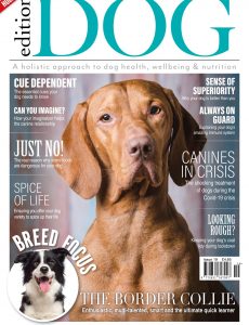 Edition Dog – Issue 19 – May 2020