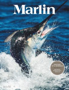 Marlin – June-July 2020