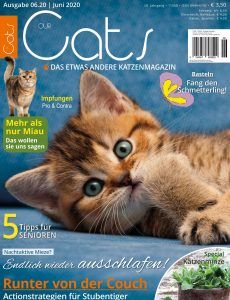 Our Cats – Juni 2020