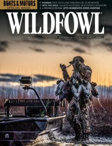 Wildfowl – June-July 2020