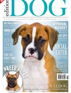 Edition Dog – Issue 21 – July 2020