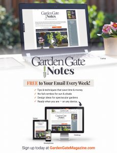 Garden Gate – June 2020