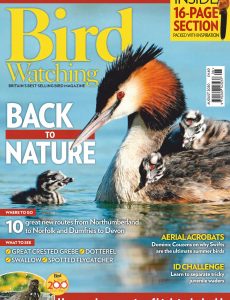 Bird Watching UK – August 2020