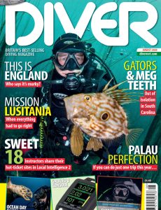 Diver UK – August 2020
