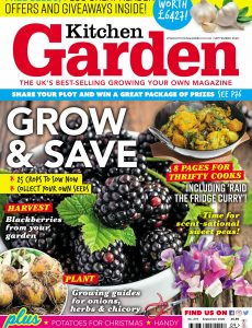 Kitchen Garden – September 2020