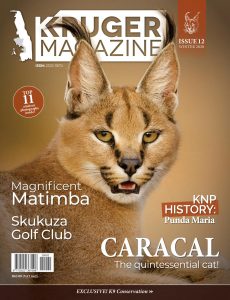 Kruger Magazine – Winter 2020
