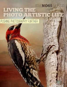 Living The Photo Artistic Life – July 2020