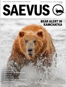 Saevus – December 2019-February 2020