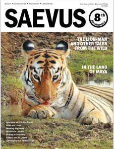 Saevus – March-May 2020