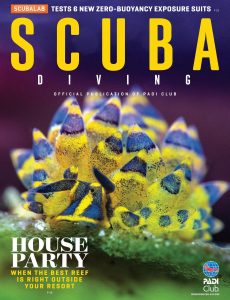 Scuba Diving – July 2020