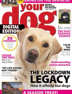 Your Dog – August 2020