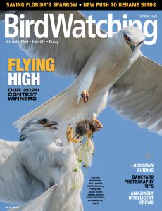 BirdWatching USA – September-October 2020
