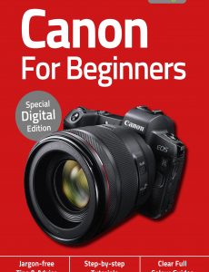 Canon For Beginners – No5, 2020