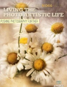 Living The Photo Artistic Life – August 2020