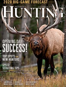 Petersen’s Hunting – September 2020