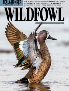 Wildfowl – September 2020