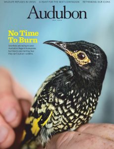 Audubon Magazine – Fall 2020