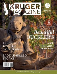 Kruger Magazine – Spring 2020