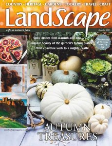 Landscape UK – November 2020