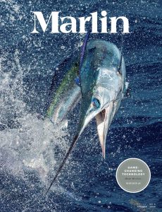 Marlin – October 2020