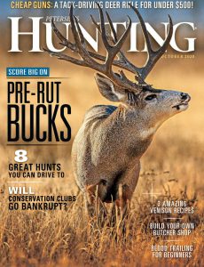 Petersen’s Hunting – October 2020