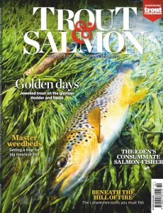 Trout & Salmon – October 2020