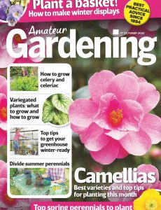 Amateur Gardening – 17 October 2020