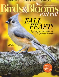 Birds and Blooms Extra – November 2020
