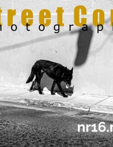 Street Core Photography – November 2020