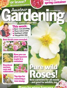 Amateur Gardening – 14 November 2020