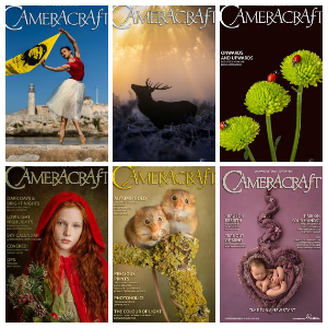 CameraCraft – Full Year 2020 Collection Issues