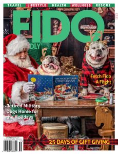 FIDO Friendly – Fall-Winter 2020