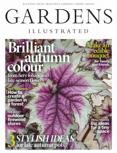 Gardens Illustrated – November 2020